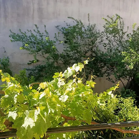 Janas House Apartament Bari Sardo